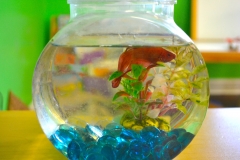 Day Care in Downingtown PA