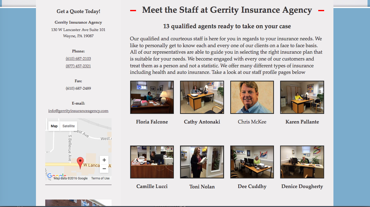 Website Design in Wayne PA 3