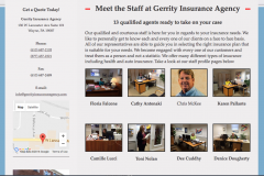 Website Design in Wayne PA 3